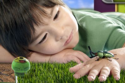 Boy (4-5) lying down and looking at bug on hand, close-up